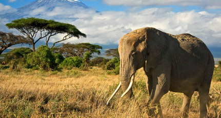 Afrika - Heimat von atemberaubender Natur