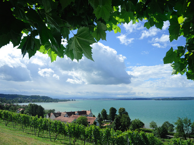 Den Bodensee per Radreise entdecken