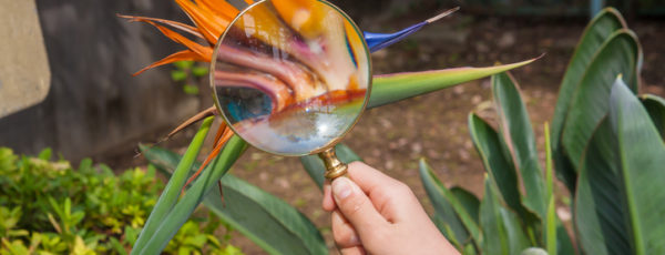 Botanische Studienreise