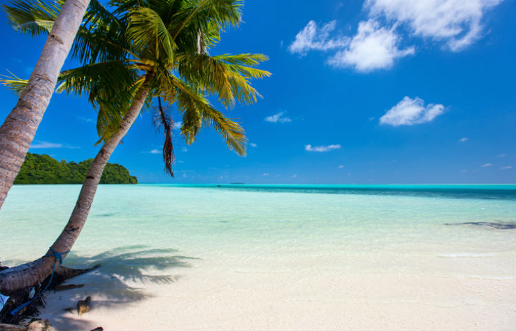 Besten Reiseziele für den Sommer 2018 am sonnigen Strand mit weitem Meer und schattiger Palme