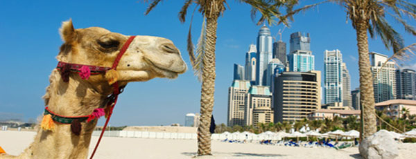 Hochzeitsreisen im Atlantis, The Palm Dubai