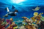 Faszinierende Unterwasserwelten entdecken