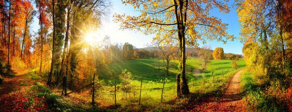 Kurztrip in den Herbstferien - beliebte Ziele in Deutschland