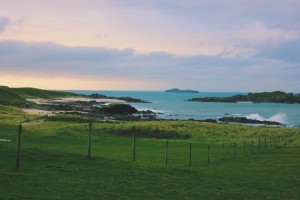 Meeresbucht und Wiese auf Iona