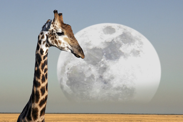 Meine Abenteuerreise nach Namibia - Wildness und herzliche Menschen