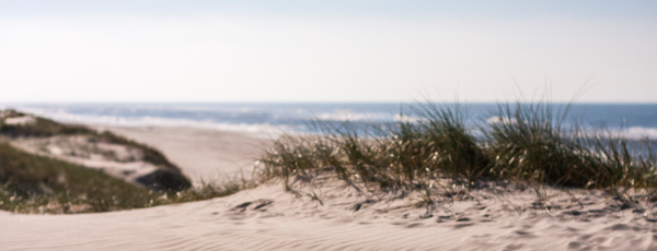 Blick aus einer Sand Düne auf den Strand und die Nordsee