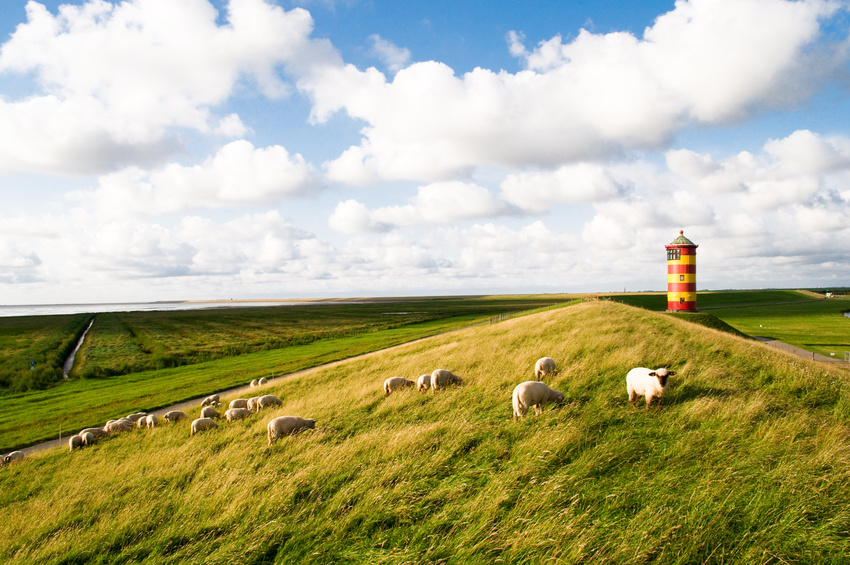 Ostfriesland als schönste Region Niedersachsens