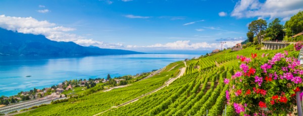 Spannende Weinreise durch Frankreich