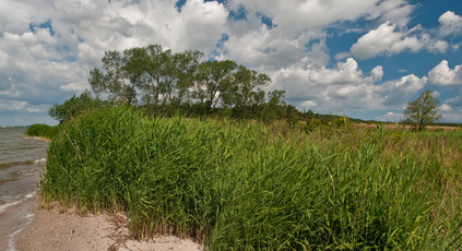 Das Stettiner Haff - Urlaubsregion mit eigenem Charme 