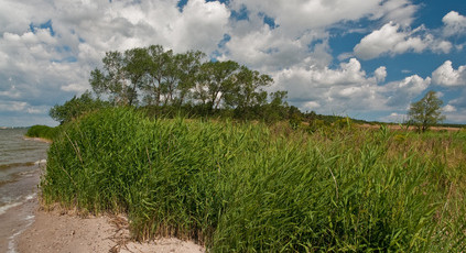 Das Stettiner Haff – Urlaubsregion mit eigenem Charme