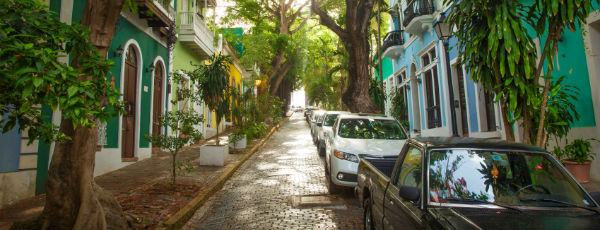 Bewachsene Straße in Puerto Rico