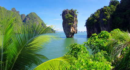 Wie auf einem anderen Planeten - die Flora und Fauna Thailands