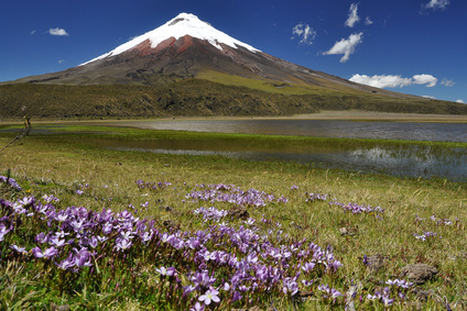 Der Vulkan Cotopaxi in Ecuador