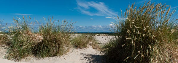 Wunderschönes Dänemark: Ferienhausurlaub mit vielen Facetten