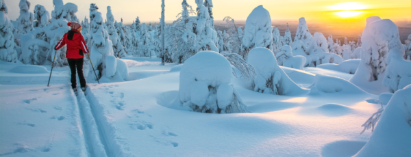 Skandinavien im Winter - mehr als eine Reise wert!