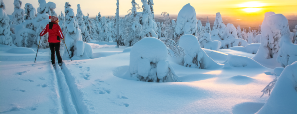 Skandinavien im Winter – mehr als eine Reise wert!