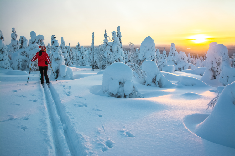 Eine Frau auf Langlauf-Skiern in der skandinavischen Winterlandschaft