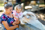 Das sind die 7 schönsten Zoos in Deutschland