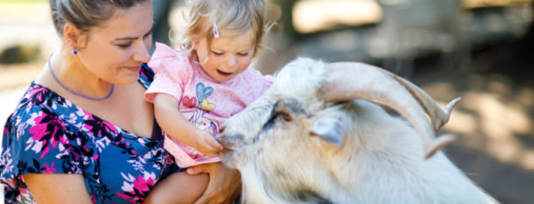 Das sind die 7 schönsten Zoos in Deutschland