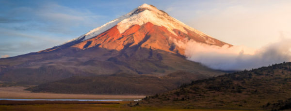 ©iStock - David Aguilar Photography