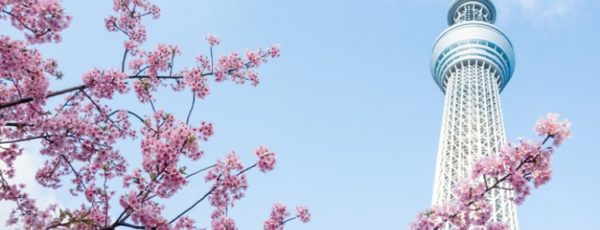 Die 5 höchsten Fernsehtürme der Welt - Diese sind eine Reise wert!