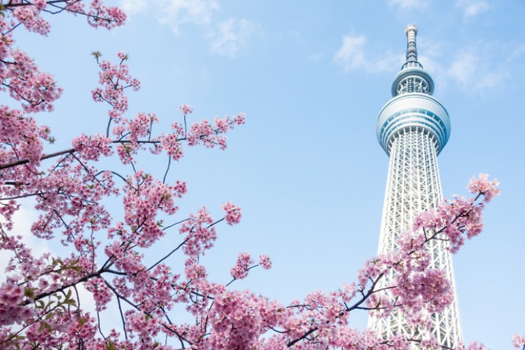 Tokyo Skytree Tower