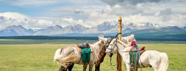 Mit dem Pferd durch die Mongolei - Meine aufregende Reise durch die Steppe
