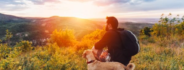 Verreisen mit Hund - beliebte Reiseziele & Tipps!