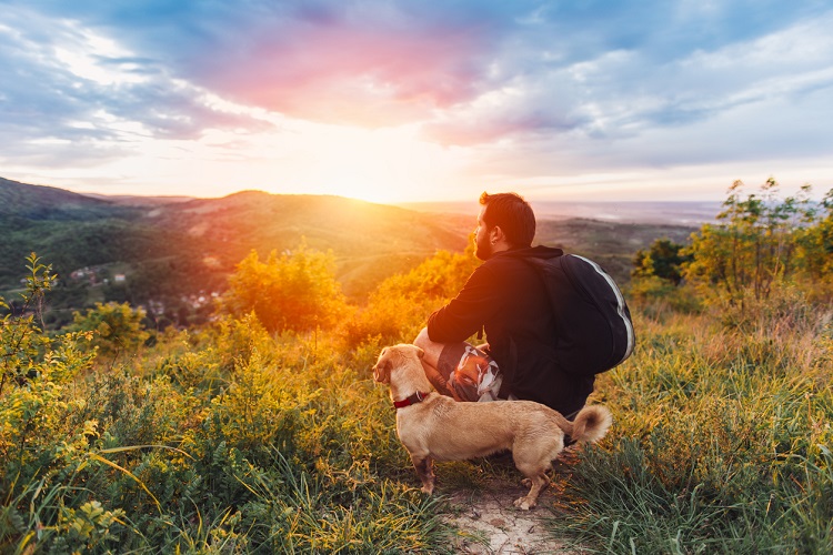 Mann genießt mit kleinem Hund Sonnenuntergang und Aussicht auf Landschaft