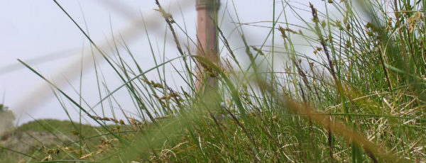 Sehenswürdigkeiten auf Norderney – was die Insel zu bieten hat