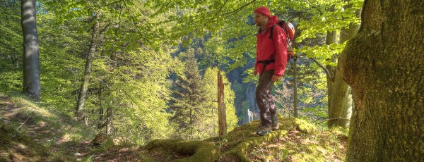 Region der Gegensätze: Im Schwarzwald trifft Tradition auf Moderne