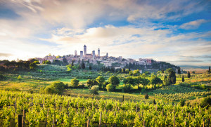 Blick auf San Gimignano