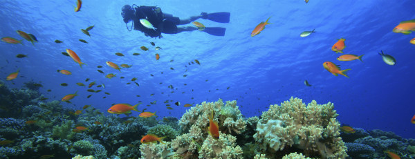 Geheimnisvolle Inseln mitten im Atlantik – Bermudas